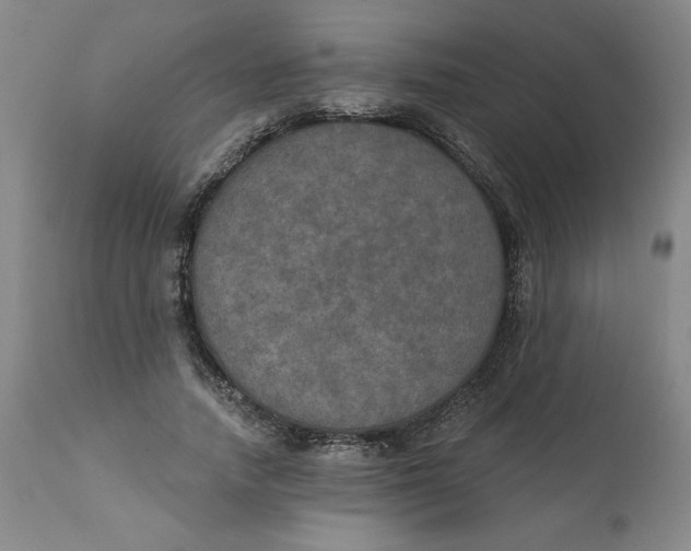 X0000112020738200908241514