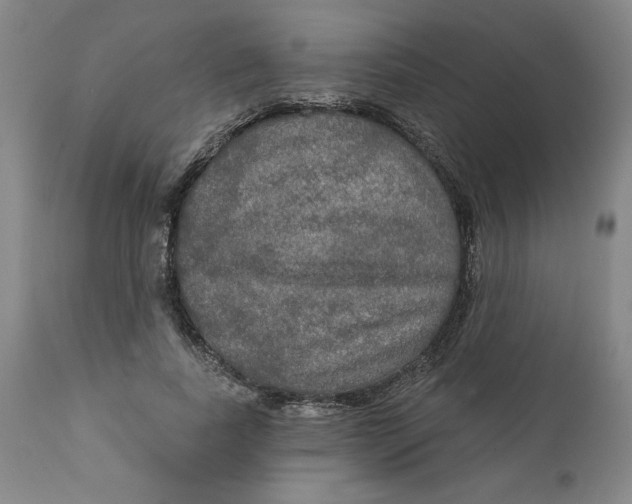 X0000112020739200908241514