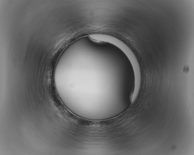 X0000112020740200908241514