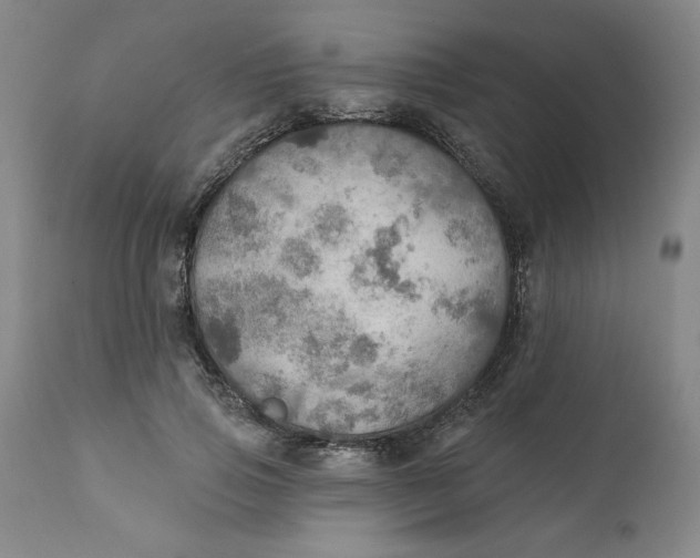 X0000112020741200908241514