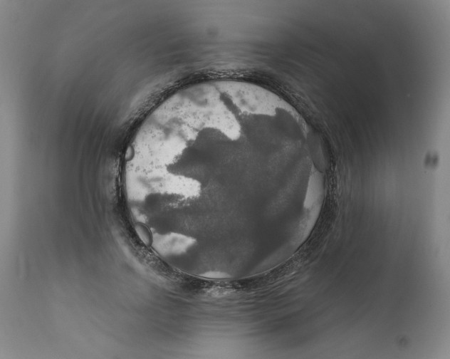 X0000112020742200908241514