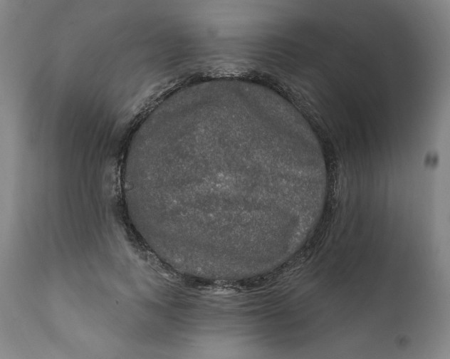 X0000112020743200908241514