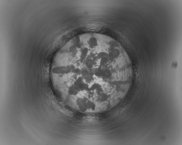 X0000112020745200908241514