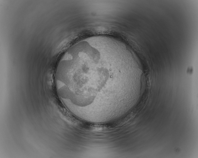 X0000112020746200908241514