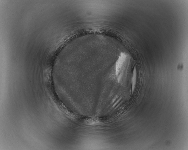 X0000112020747200908241514