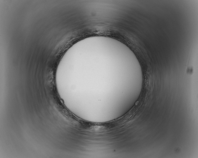 X0000112020748200908241514