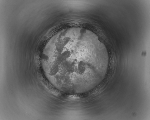 X0000112020749200908241514