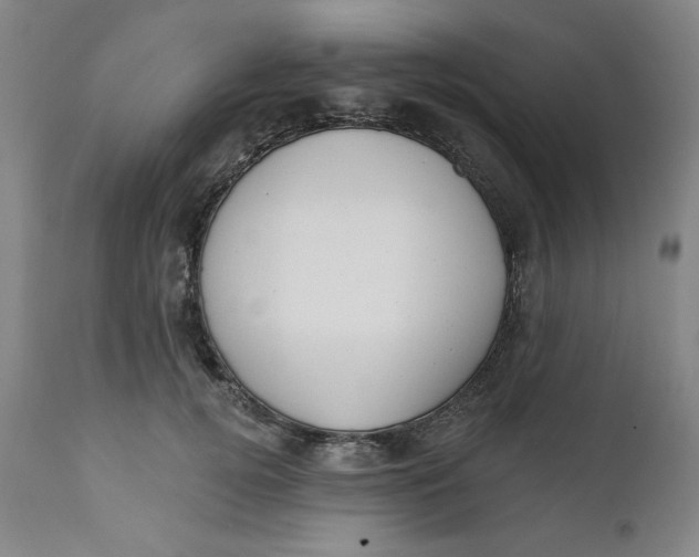 X0000112020752200908241514