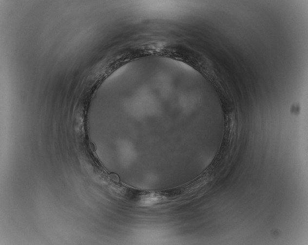 X0000112020754200908241514