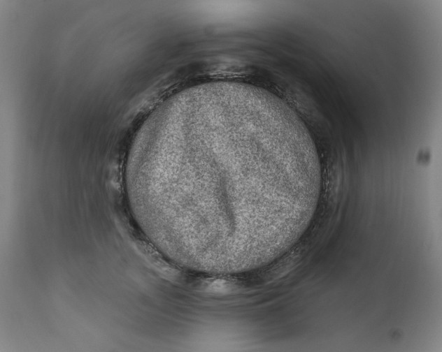 X0000112020755200908241514