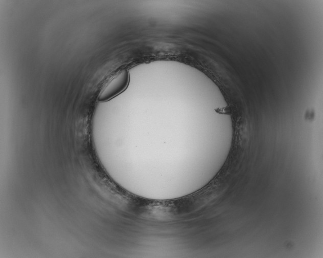 X0000112020756200908241514