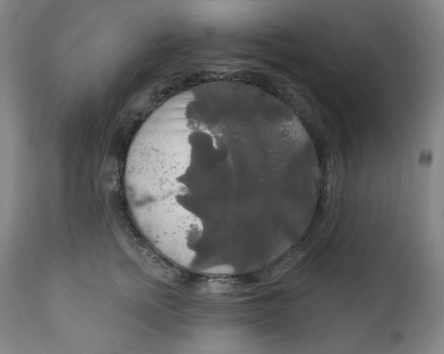 X0000112020758200908241514