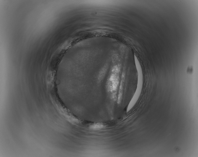 X0000112020759200908241515