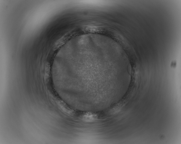 X0000112020760200908241515