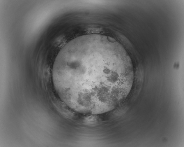 X0000112020761200908241515