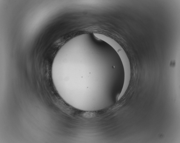 X0000112020762200908241515