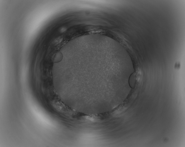 X0000112020763200908241515