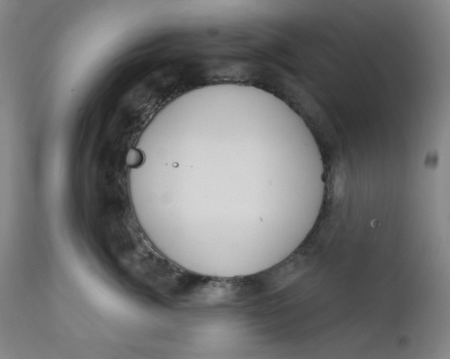 X0000112020764200908241515