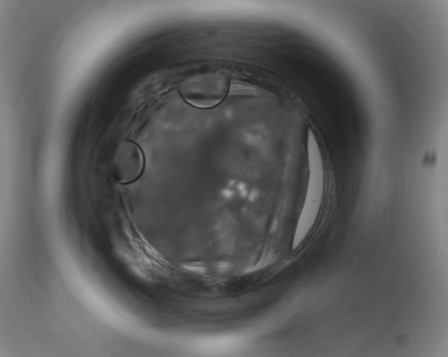 X0000112020765200908241515