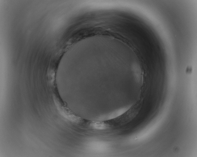 X0000112020767200908241515