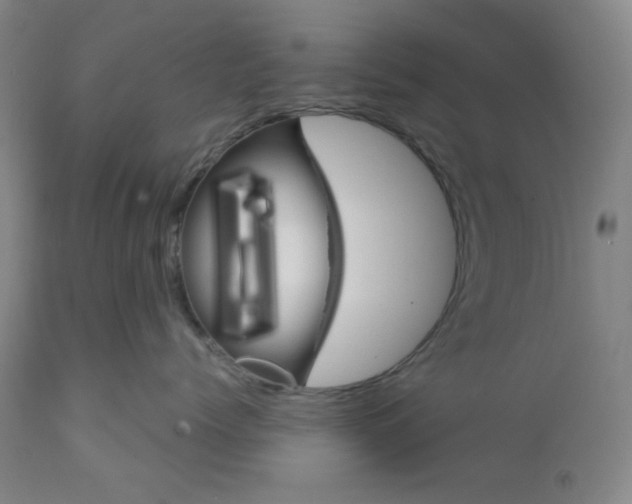 X0000112020768200908241515