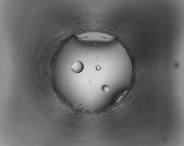 X0000112020769200908241514