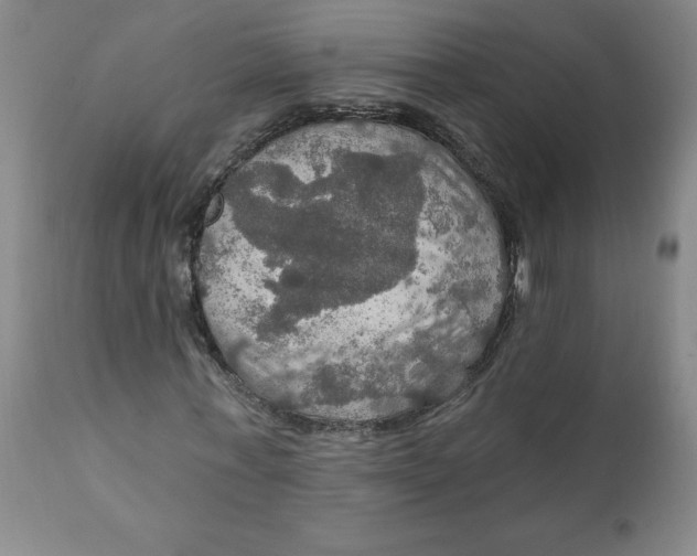 X0000112020771200908241514