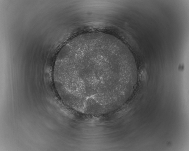 X0000112020772200908241514