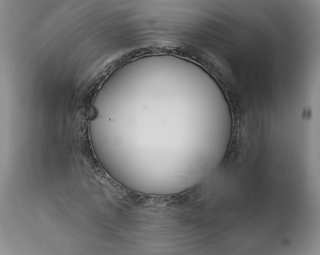 X0000112020773200908241514