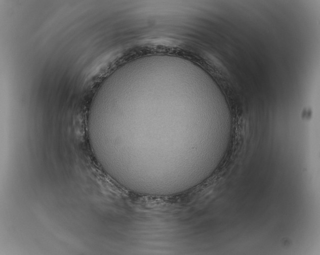 X0000112020774200908241514