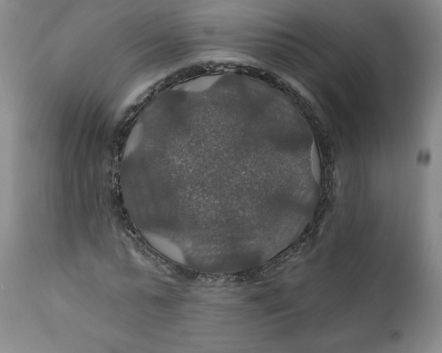 X0000112020775200908241514