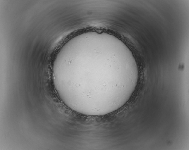 X0000112020776200908241514