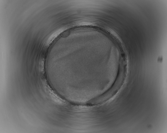 X0000112020777200908241514