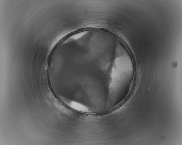 X0000112020779200908241514