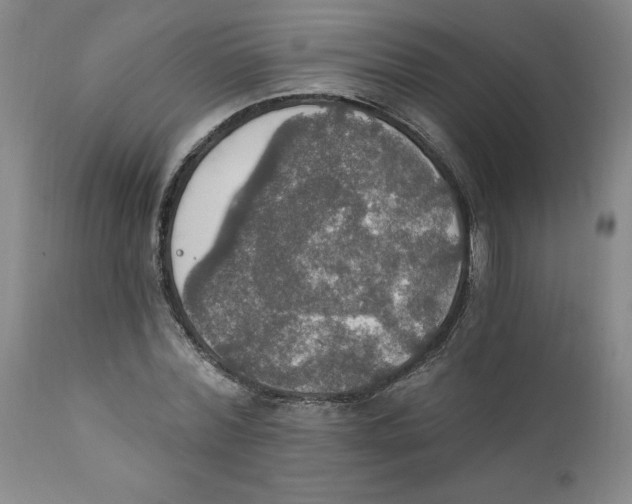 X0000112020780200908241514