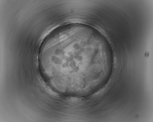 X0000112020782200908241514