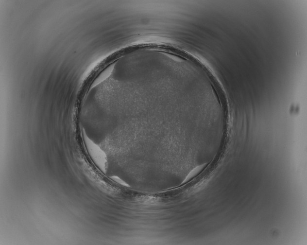 X0000112020783200908241514