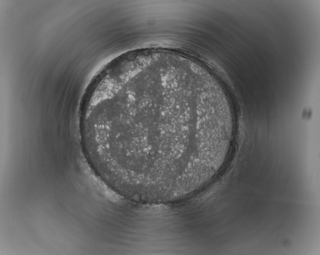 X0000112020784200908241514