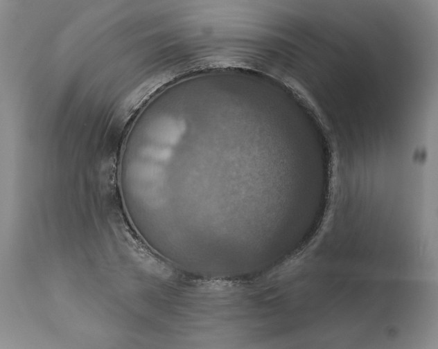 X0000112020785200908241514