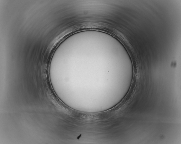 X0000112020786200908241514