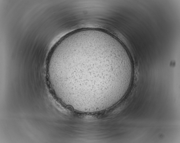 X0000112020787200908241514