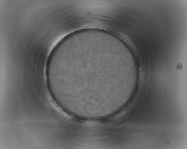 X0000112020788200908241514