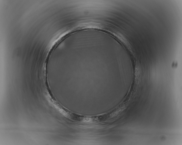 X0000112020790200908241514