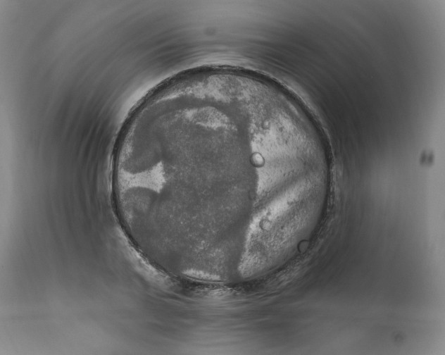 X0000112020791200908241514