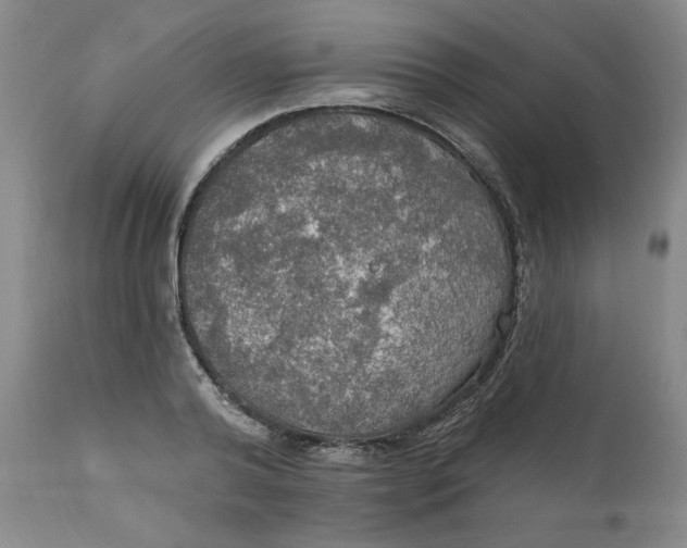 X0000112020792200908241514