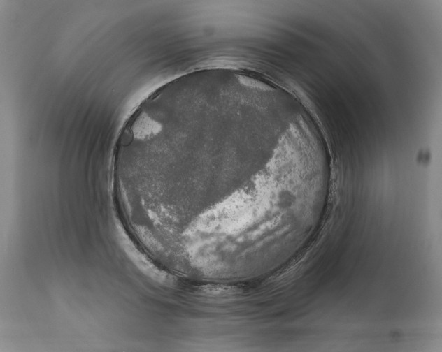 X0000112020795200908241514