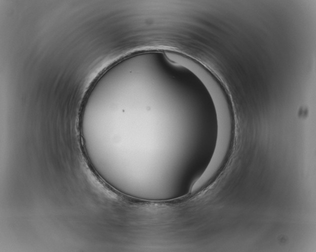 X0000112020797200908241514