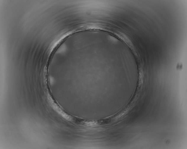 X0000112020798200908241514