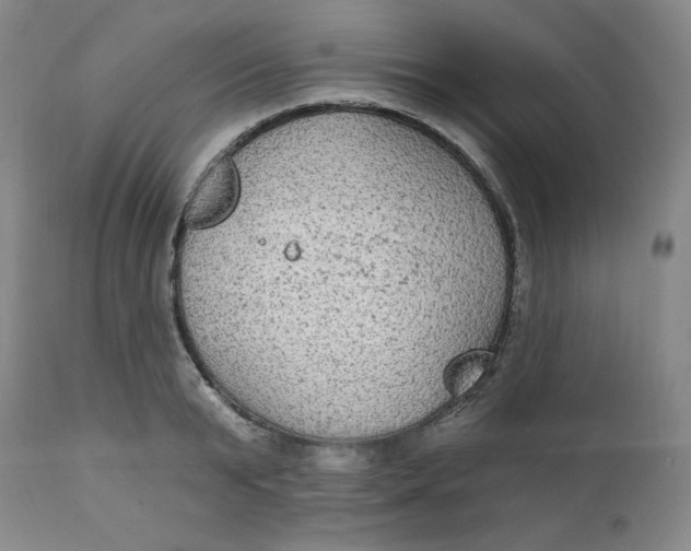 X0000112020799200908241514