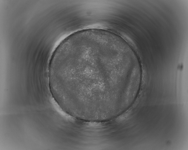 X0000112020800200908241514